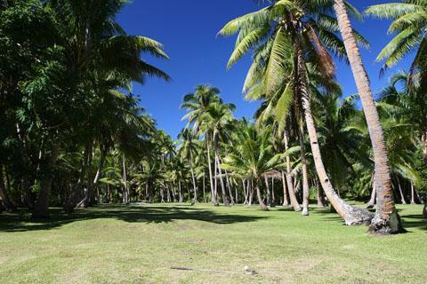 Naigani Island Resort Einrichtungen foto